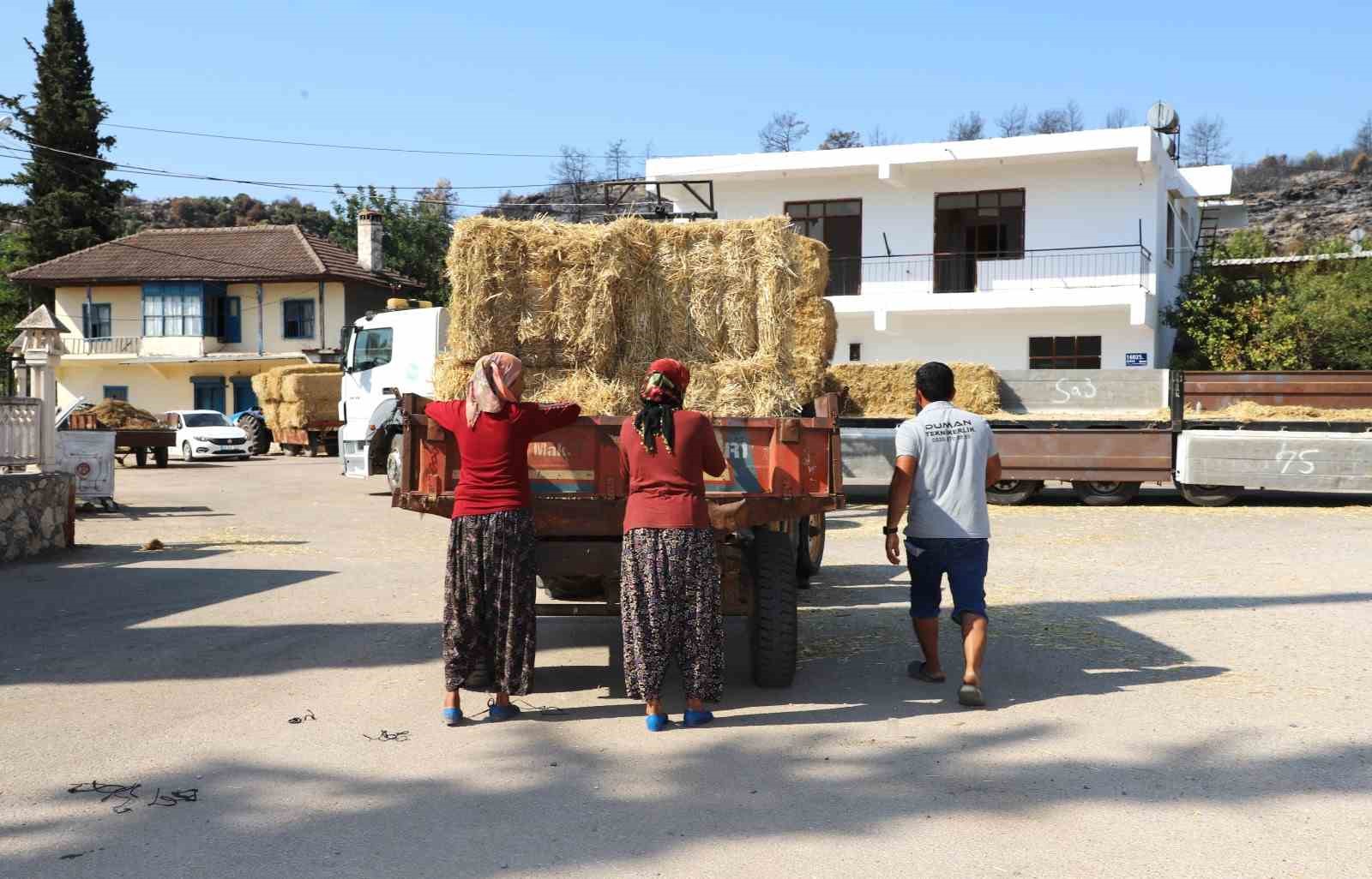 AKSU BELEDİYESİ, YANGINDAN ETKİLENEN VE HAYVANCILIKLA UĞRAŞAN VATANDAŞLARA YÖNELİK SAMAN YARDIMLARINI BÖLGEYE ULAŞTIRMAYA BAŞLADI.