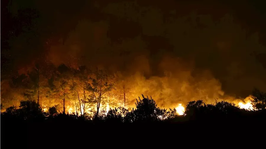 Antalya'da Orman Yangınıyla Mücadele Eden Gönüllü İtfaiyeci Hayatını Kaybetti