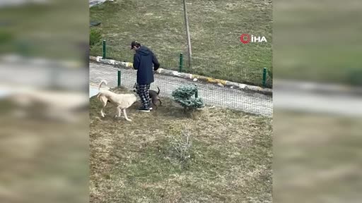 Site sakinleri Palandöken Kaymakamı’na sahip çıktı: "Kaymakama itibar suikastı yapılıyor"