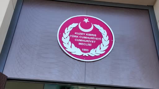 Cumhurbaşkanı Yardımcısı Cevdet Yılmaz, Kuzey Kıbrıs Türk Cumhuriyeti (KKTC) Cumhuriyet Meclisi Başkanı Ziya Öztürkler ile bir araya geldi.