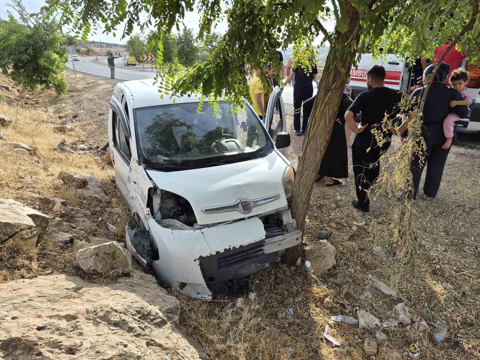 KONTROLDEN ÇIKAN HAFİF TİCARİ ARAÇ AĞACA ÇARPTI: 2 YARALI