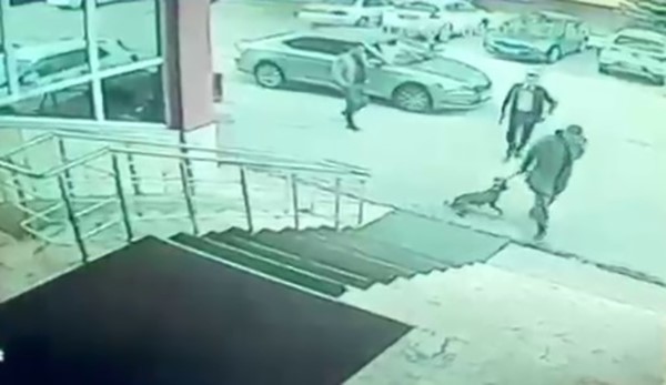 ERZURUM PALANDÖKEN İLÇESİ KAYMAKAMI YUNUS KIZILGÜNEŞ VE KORUMASININ "BİR KÖPEĞE TEKME ATTIĞI VE KORUMASININ SİLAH ÇEKTİĞİ" ÖZETİNDEKİ GÖRÜNTÜLERİYLE İLGİLİ ERZURUM VALİLİĞİ İDARİ ARAŞTIRMA VE İNCELEME, ERZURUM CUMHURİYET BAŞSAVCILIĞI İSE SORUŞTURMA İŞLEMLERİ BAŞLATILDI.