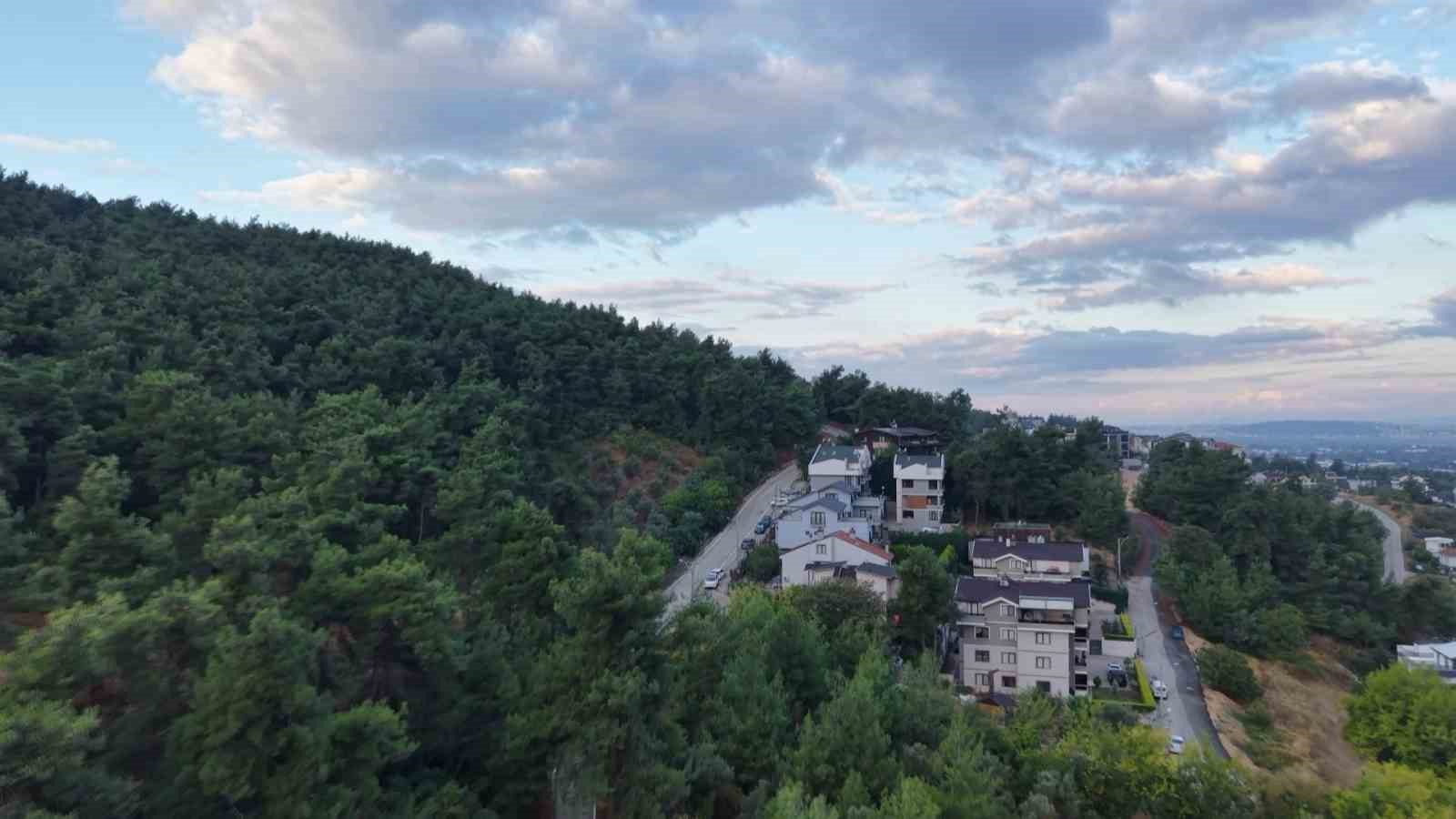 BURSA’NIN NİLÜFER İLÇESİNE BAĞLI ÇALI MAHALLESİ’NDE, YERLEŞİM ALANINA YAKIN BÖLGEDE 3 AYININ GÖRÜLDÜĞÜ BİLDİRİLDİ.