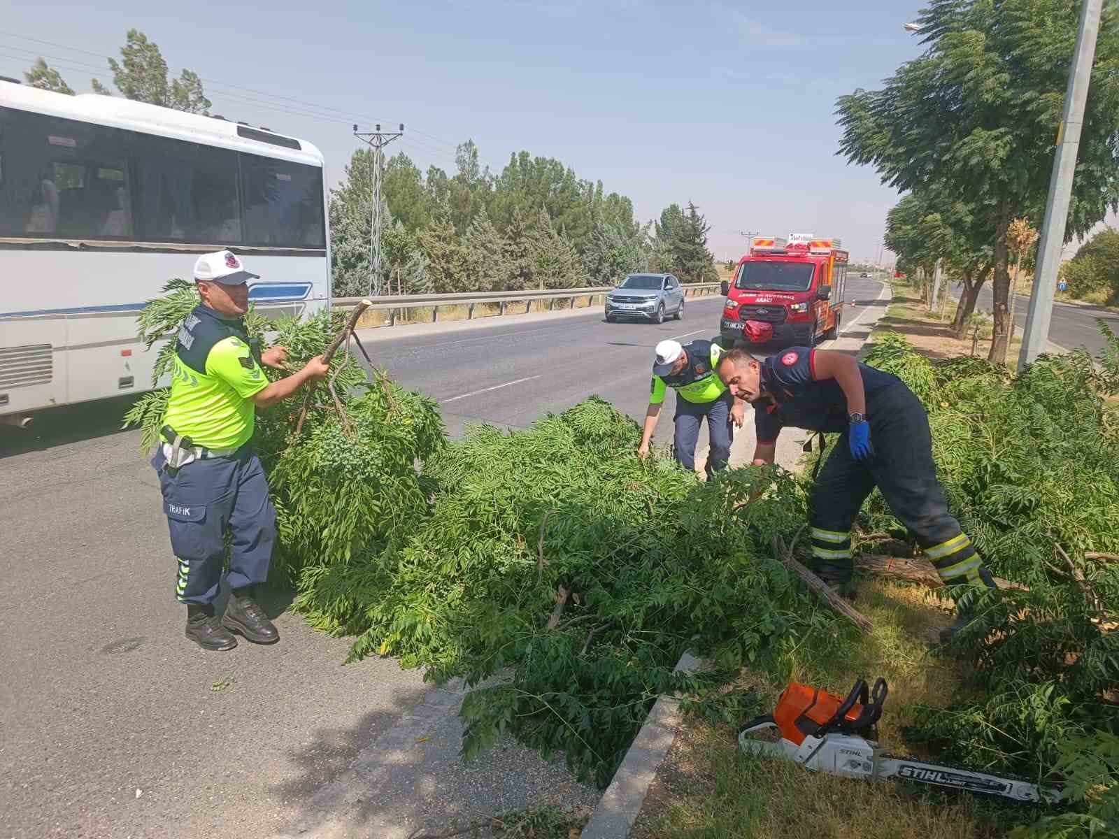 BATMAN-SİLVAN KARAYOLUNDA KUVVETLİ RÜZGÂRIN ETKİSİYLE ORTA REFÜJDE BULUNAN AĞAÇ YOLA DEVRİLDİ.