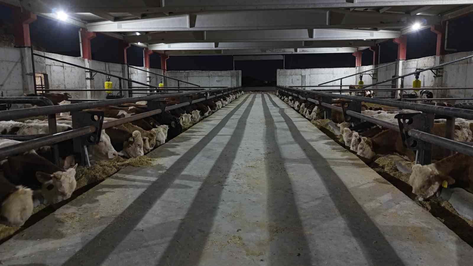 TARIMIN BAŞKENTİ ŞANLIURFA, HAYVANCILIK ALANINDA DA BÖLGEYE HİTAP ETMEYİ HEDEFLİYOR. YAKLAŞIK 8 BİN DEKAR ALAN ÜZERİNE KURULAN ŞANLIURFA TARIMA DAYALI İHTİSAS ORGANİZE SANAYİ BÖLGESİ (BESİ OSB), 120 BİN BÜYÜKBAŞ HAYVAN KAPASİTESİ VE YILLIK 42 BİN TONA KADAR ET ÜRETİMİYLE TÜRKİYE’NİN YANI SIRA ORTADO