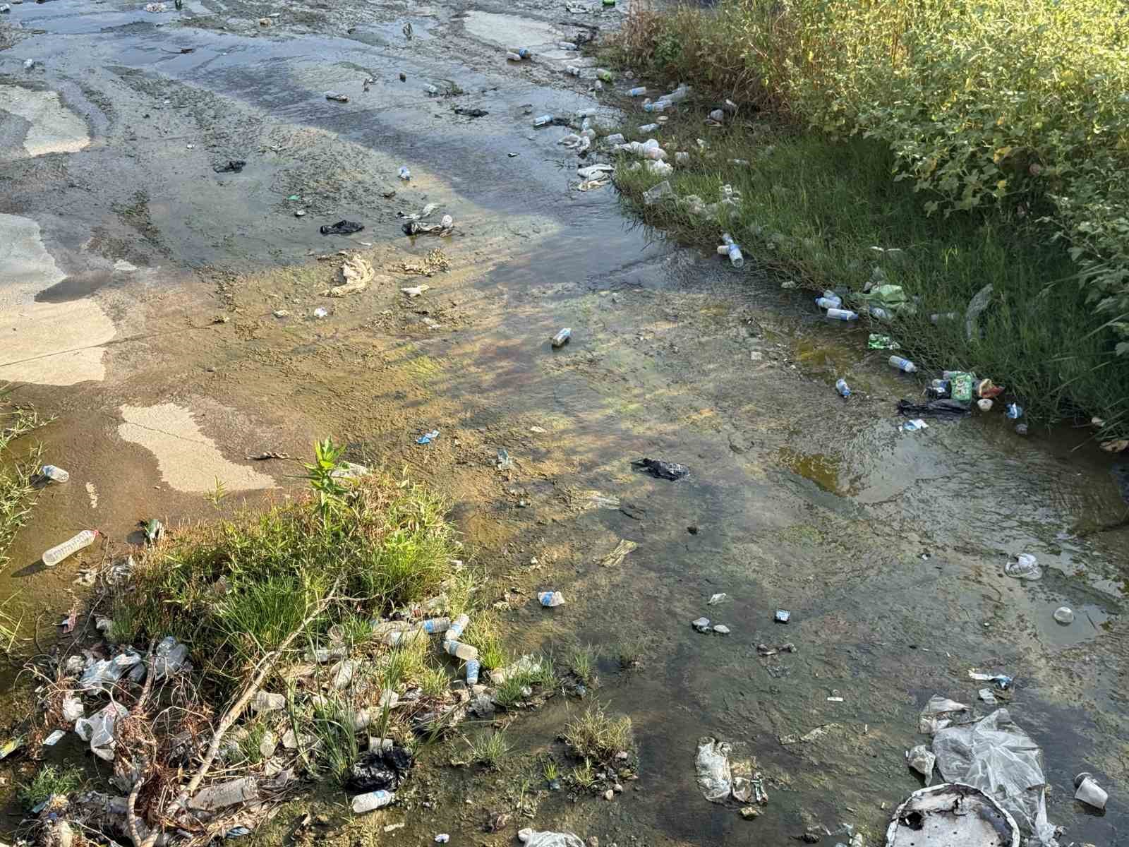 AYDIN’IN EFELER İLÇESİNDEN GEÇEN TABAKHANE DERESİ’NDE BİRİKEN ÇÖPLER ÇEVRE KİRLİLİĞİNE NEDEN OLDU. DERE YATAĞINDA ÇOK SAYIDA PLASTİK POŞET, PET ŞİŞE VE CAM ŞİŞE BULUNURKEN, ORTAYA ÇIKAN GÖRÜNTÜLER ÇEVRE TEMİZLİĞİ KONUSUNDA DUYARLILIĞIN ÖNEMİNİ BİR KEZ DAHA GÖZLER ÖNÜNE SERDİ.