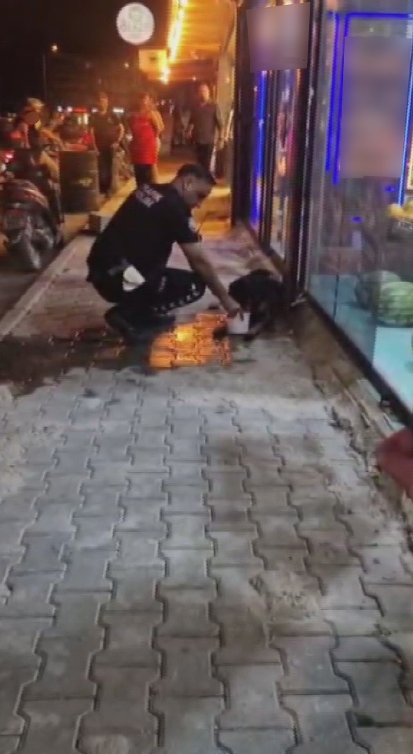 HATAY’IN SAMANDAĞ İLÇESİNDE SİLAHLA VURULARAK YARALANAN SOKAK KÖPEĞİNE POLİS EKİPLERİ SAHİP ÇIKTI. DEVRİYE SIRASINDA YARALI KÖPEĞİ FARK EDEN EKİPLER, HAYVANI TEDAVİ EDİLMEK ÜZERE VETERİNERE GÖTÜRDÜ.