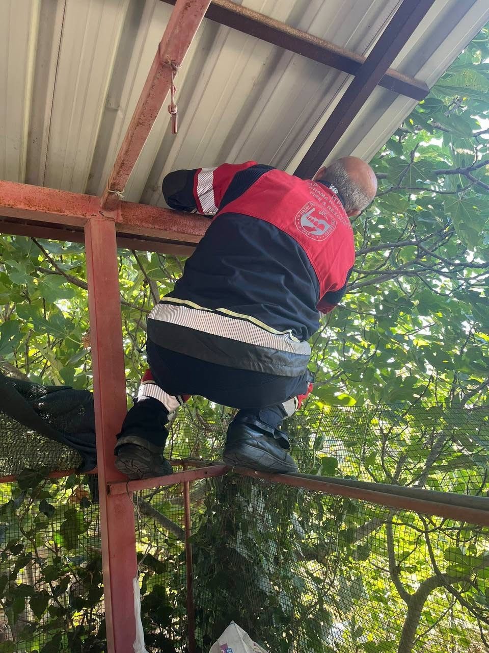 HATAY’DA BİR EVİN BAHÇESİNDE BAHÇESİNDE GÖRÜLEN VE DEMİR PROFİL İÇERİSİNE SAKLANAN YAKLAŞIK 1 BUÇUK METRE BOYUNDAKİ KARA YILAN, İTFAİYE EKİPLERİ TARAFINDAN YAKALANARAK DOĞAYA BIRAKILDI.