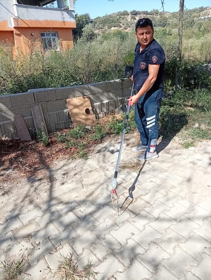 SAMANDAĞ ATAKÖY MAHALLESİ’NDE YERLEŞİM YERİNDE YAKALANARAK DOĞAL YAŞAM ALANINA BIRAKILAN YILAN.
