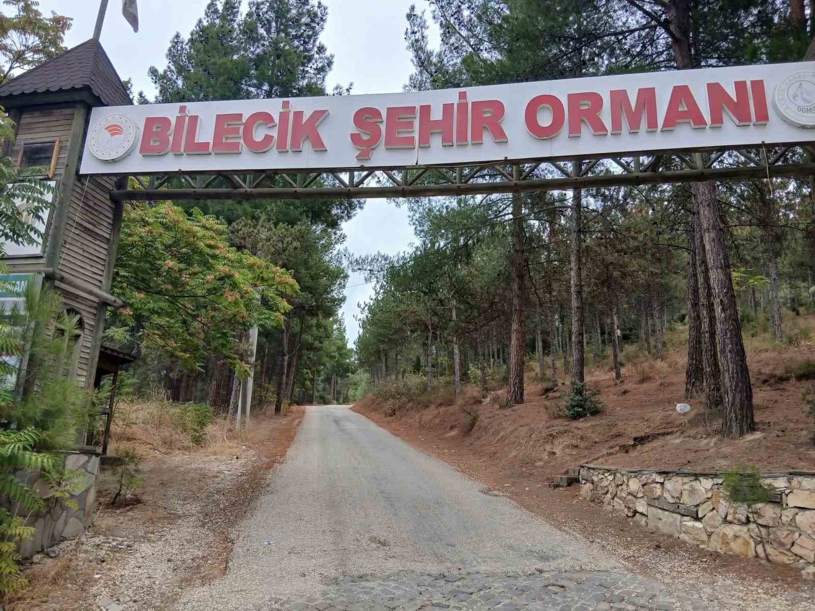 BİLECİK ŞEHİR ORMANI'NIN YOLLARI KÖSTEBEK YUVASINA DÖNDÜ