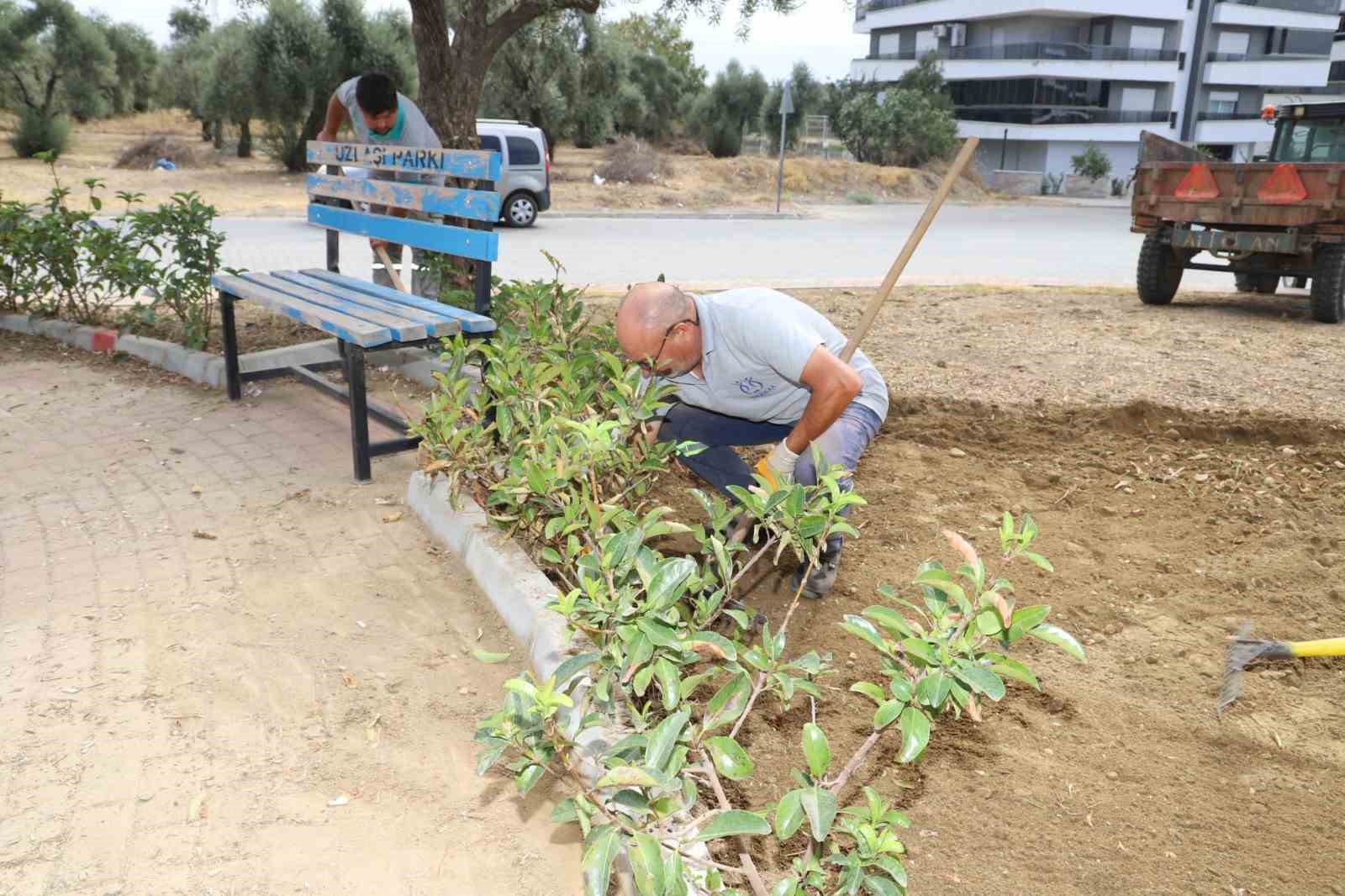 NAZİLLİ BELEDİYESİ, KIŞ AYLARI ÖNCESİNDE İLÇE GENELİNDEKİ PARK VE BAHÇELERDE TEMİZLİK VE BAKIM ÇALIŞMALARINI HIZLANDIRDI.