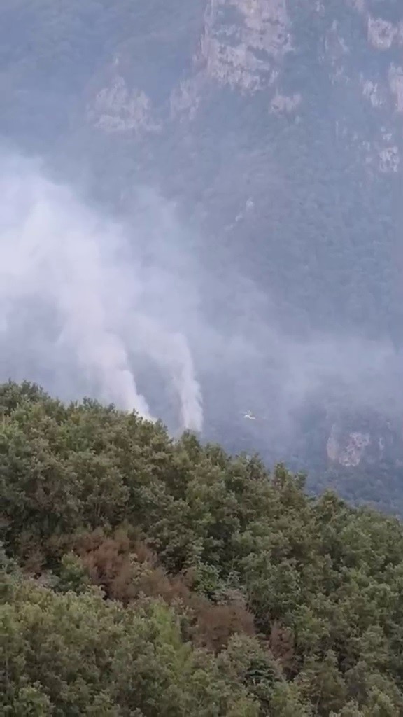 YANGIN, DÖRTYOL İLÇESİ RABAT MAHALLESİ GÜRLEVİK YAYLASI'NDA ORMANLIK ALANDA ÇIKTI. (ARŞİV)