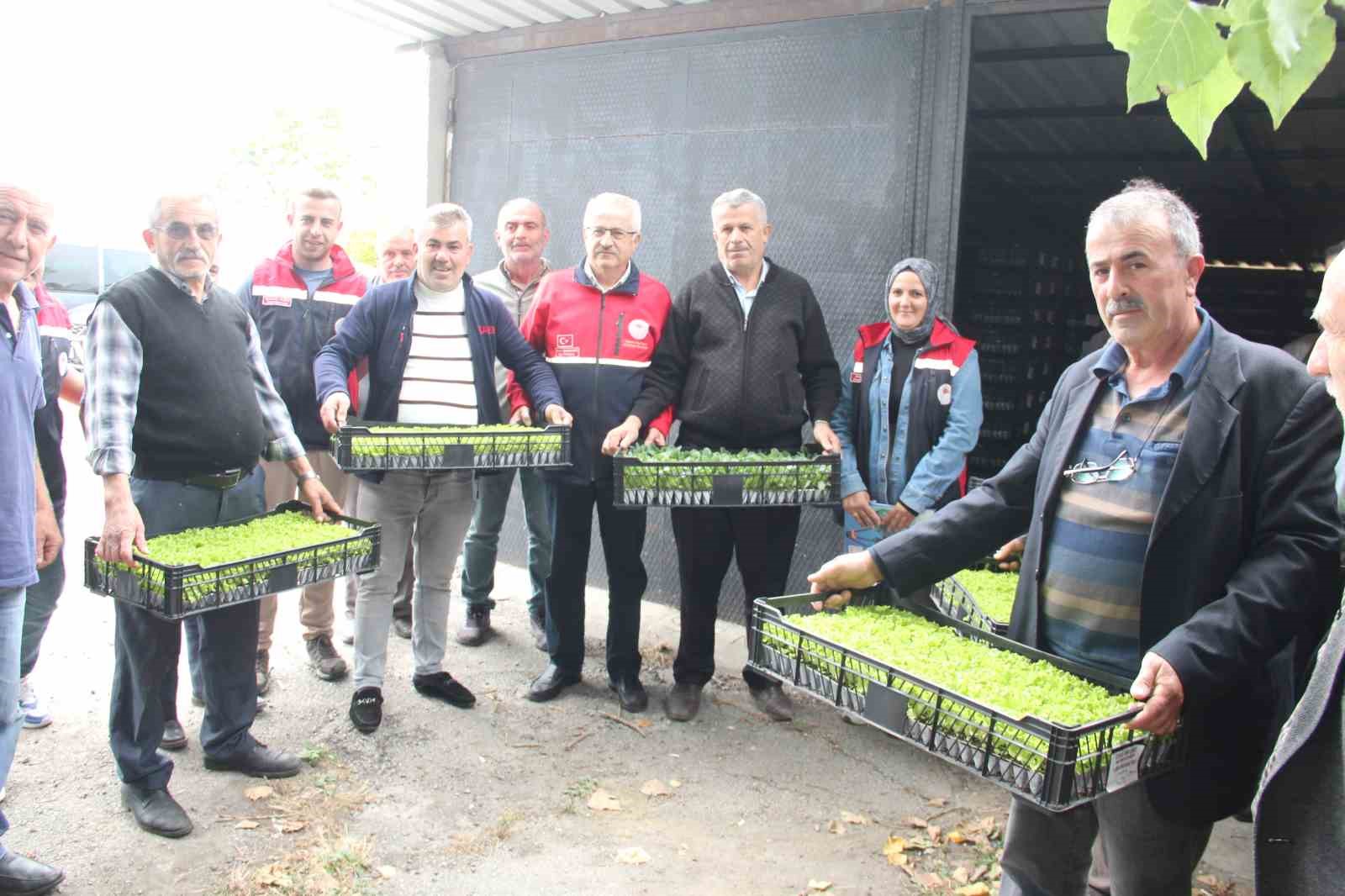 KASTAMONU'NUN İNEBOLU İLÇESİNDE 65 ÇİFTÇİYE, YÜRÜTÜLEN PROJE ÇERÇEVESİNDE 88 BİN 400 ADET SEBZE FİDESİ DAĞITILDI.