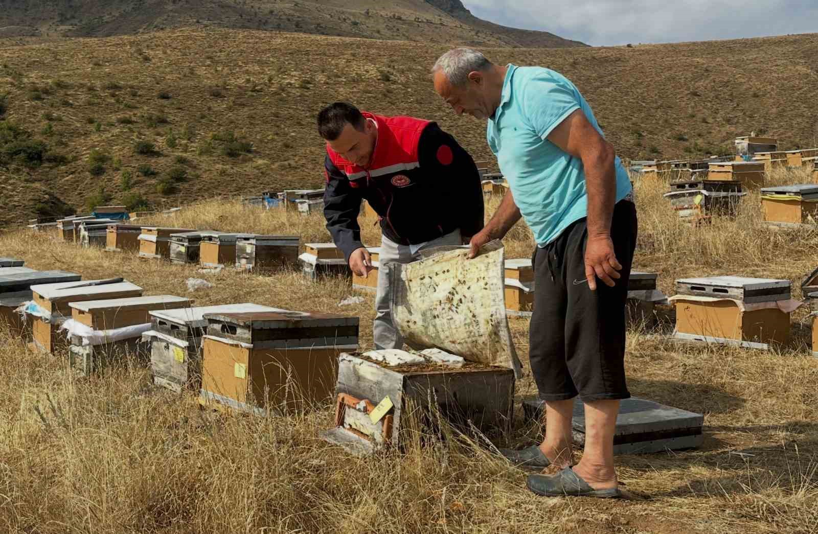 AYDINTEPE’DE 2026 YILI ARILI KOVAN TESPİTLERİ BAŞLADI