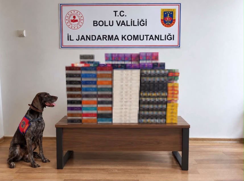 ARAMALARDA, PİYASA DEĞERİ YAKLAŞIK 760 BİN TL OLAN KAÇAK ELEKTRONİK SİGARA KİTİ VE TÜTÜN MAMULÜ ELE GEÇİRİLDİ