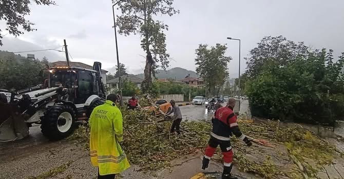 YAYLADAĞI ÇAMALTI MAHALLESİ’NDE RÜZGÂRIN ETKİSİYLE ARACIN ÜZERİNE DEVRİLEN AĞACIN EKİPLER TARAFINDAN KALDIRILMASI.