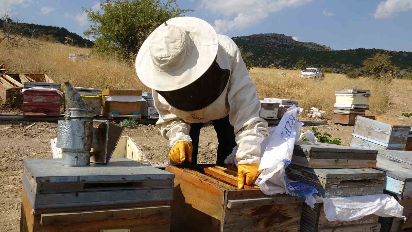 MALATYA'NIN AKÇADAĞ İLÇESİNDE ZENGİN ÇİÇEK FLORASINA SAHİP YAYLALARDA BAL HASADI TAMAMLANDI.