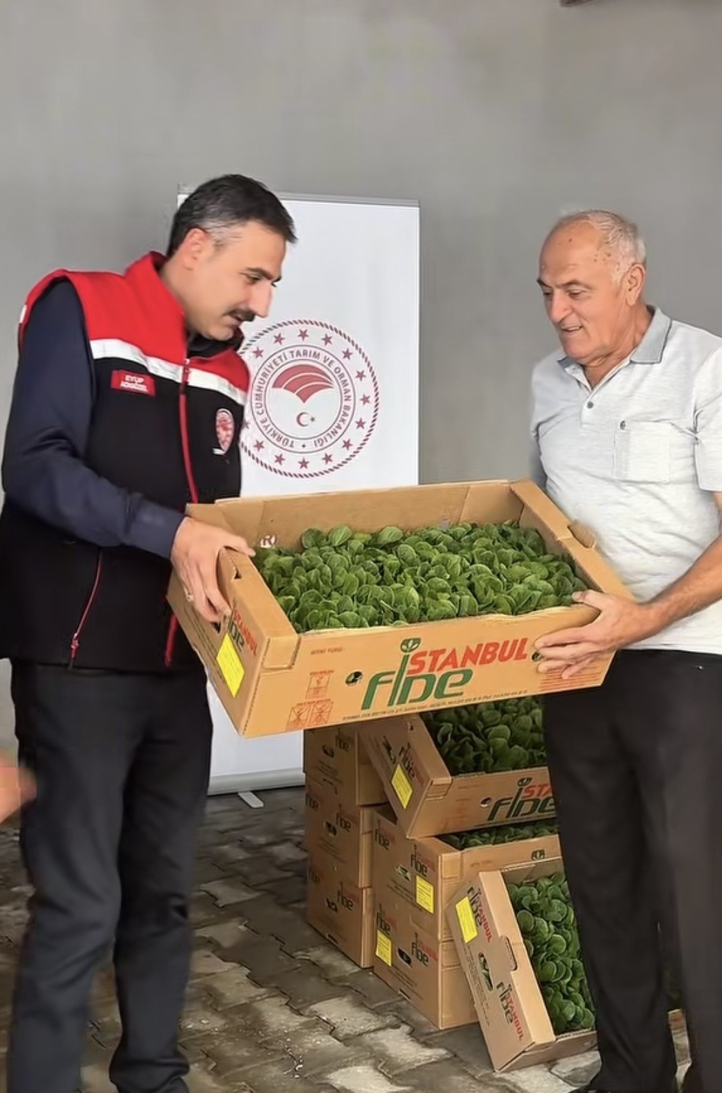 BURDUR’DA TARIM VE ORMAN BAKANLIĞI BİTKİSEL ÜRETİM GENEL MÜDÜRLÜĞÜ TARAFINDAN YÜRÜTÜLEN PROJE ÇERÇEVESİNDE ÜRETİCİLERE YÜZDE 75 HİBE DESTEĞİYLE 164 BİN 500 ADET MARUL FİDESİ DAĞITILDI.