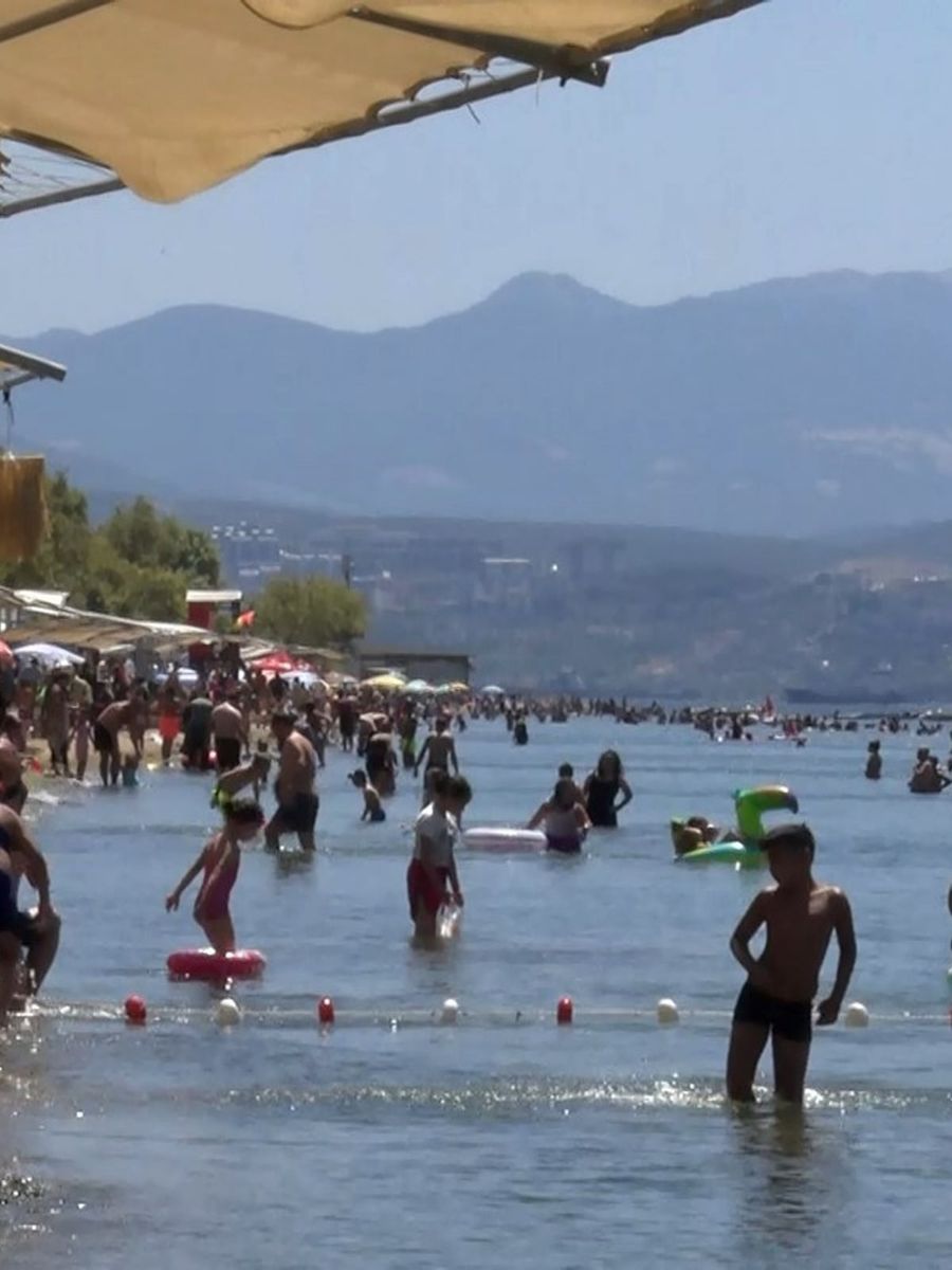 Deniz sezonunun bitmesine yakın Bursa’nın sahillerinden sevindiren haber