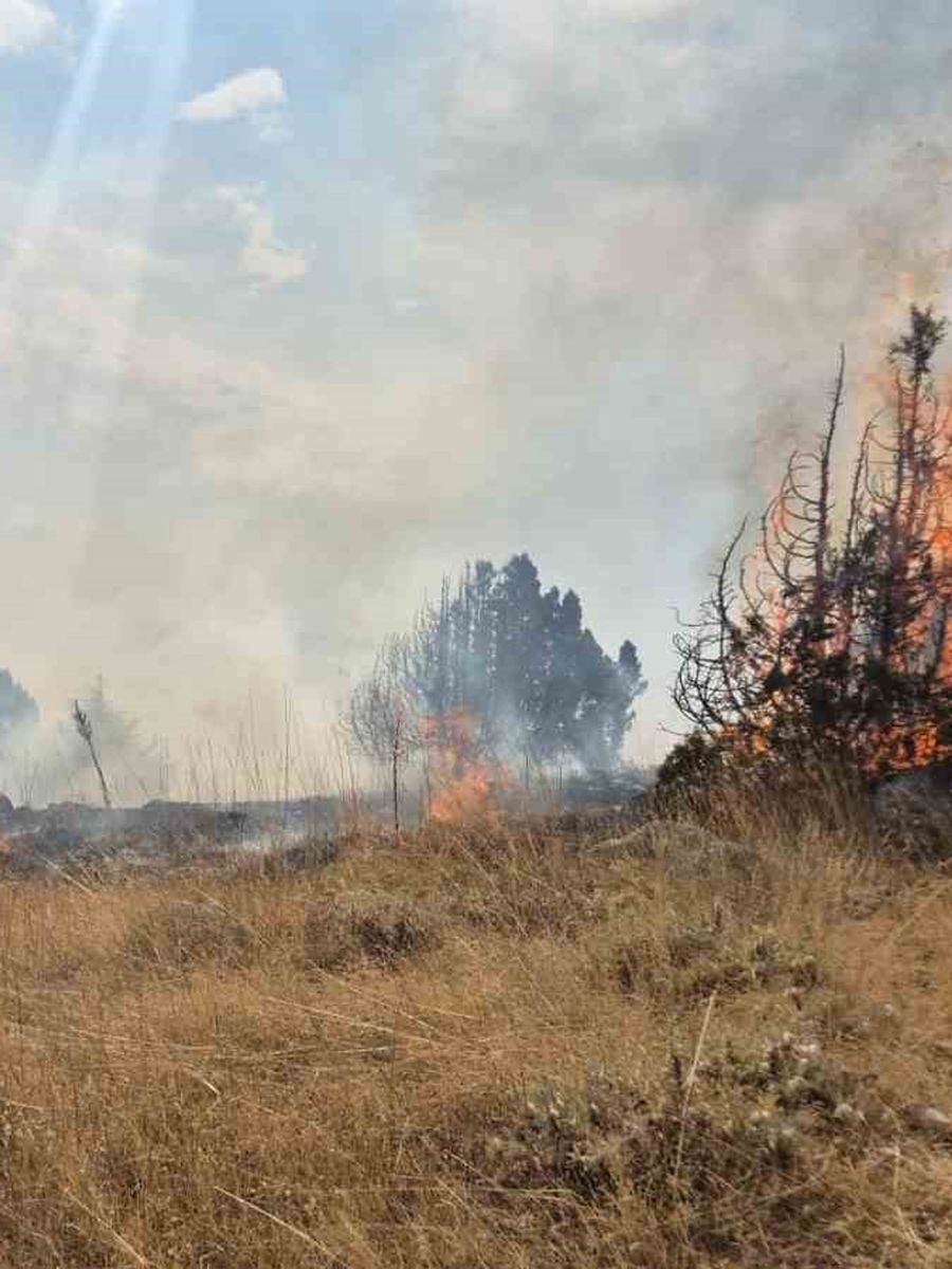 ISPARTA'NIN YALVAÇ İLÇESİNDE ORMANLIK ALANDA ÇIKAN YANGIN, EKİPLERİN YAKLAŞIK 6 SAATLİK ÇALIŞMASIYLA SÖNDÜRÜLDÜ.