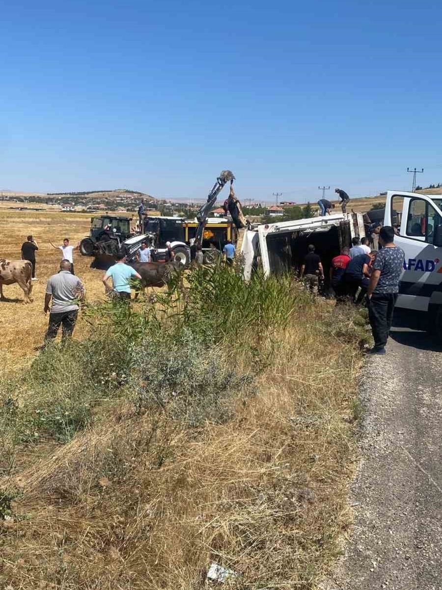 Boztepe’de hayvan yüklü tır yan yattı