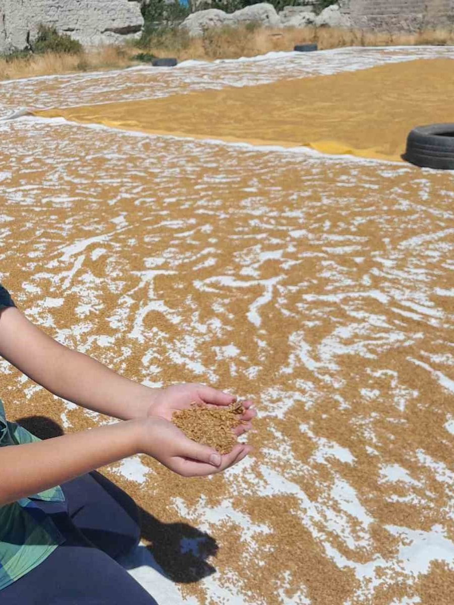 Evlerde asırlık bulgur geleneği yaşatılıyor