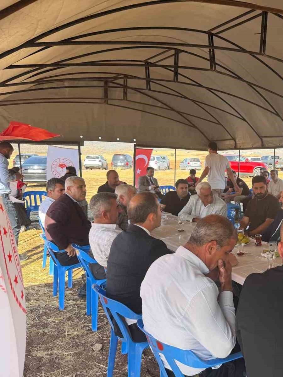 Şırnak’ta 7 süt sığırcılığı işletmesi yerinde incelendi
