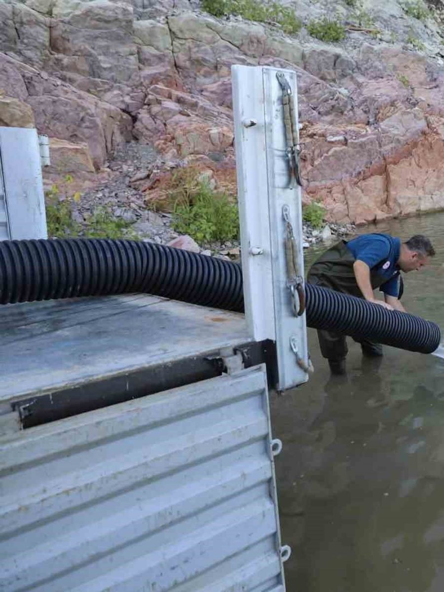 Bartın’da iki baraja 145 bin adet sazan balığı bırakıldı