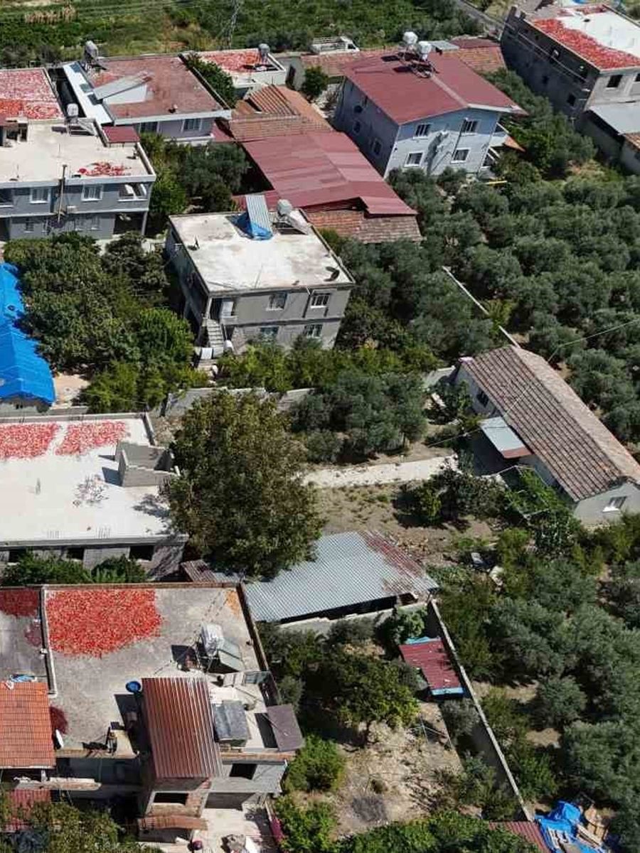 Kavurucu sıcakta devam eden acı mesaiyle birlikte damlar kırmızıya büründü