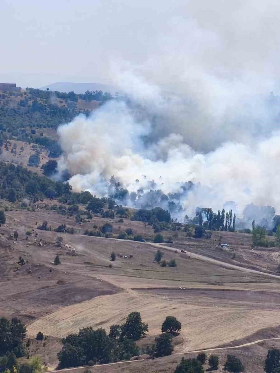 Orhaneli’de orman yangını