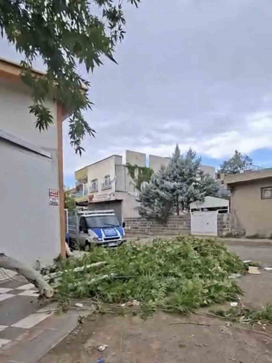 Siverek’te etkili olan fırtına, tarlada çalışan işçilere zor anlar yaşattı