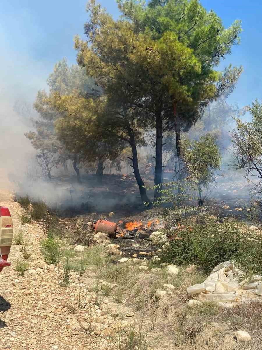 Antalya’da zirai alanda çıkan yangın büyümeden söndürüldü