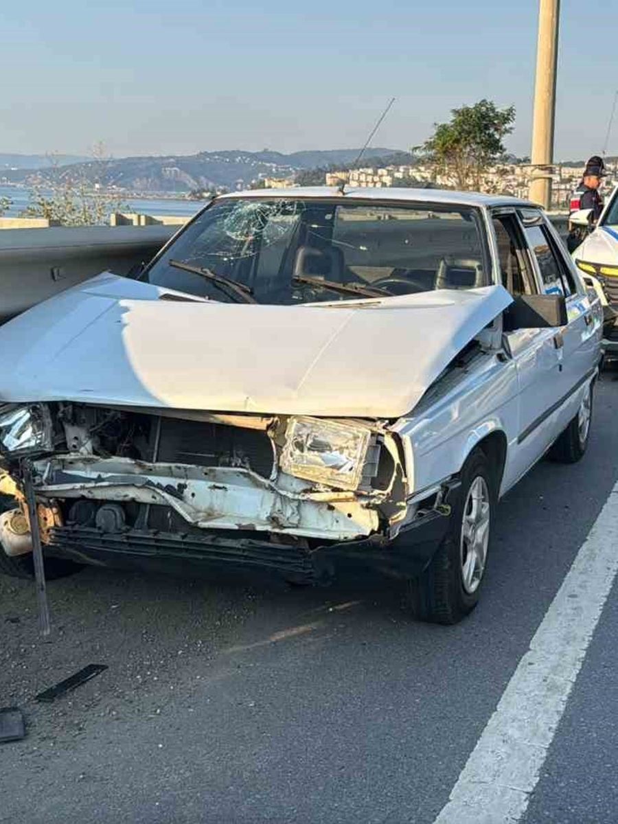 Yola fırlayan köpek kazaya neden oldu: 5 yaralı
