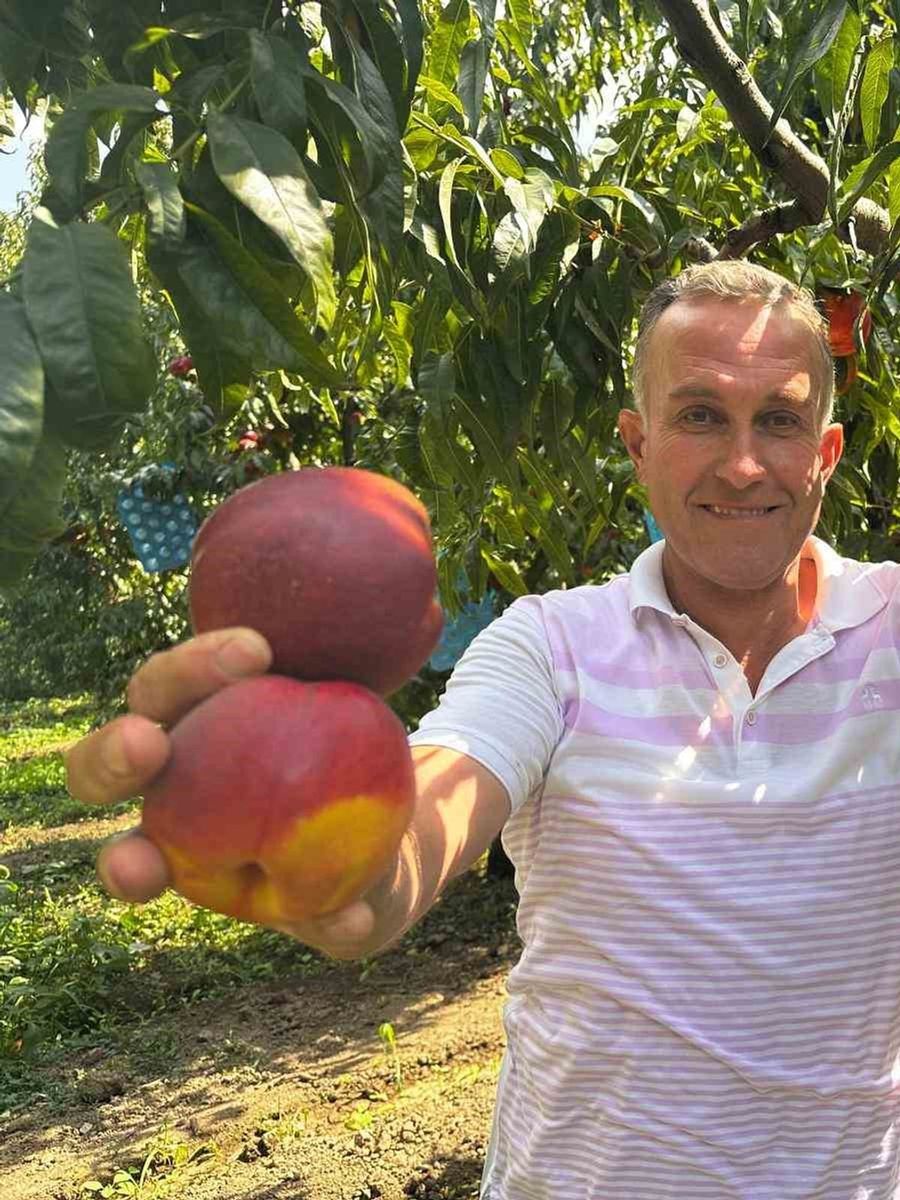 Ağustosta tarlada 10 liraya kadar düşmüştü, dalında 40 lirayı gördü