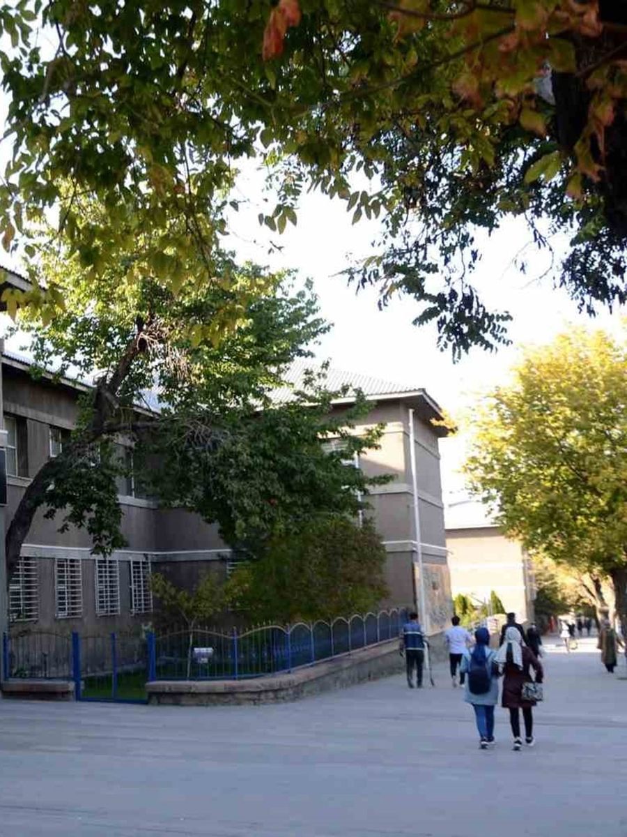 Erzurum’un eğitim haritası belli oldu: Liseliler ve üniversiteliler ilk sırada