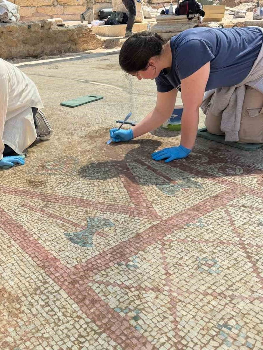 Pompeıopolıs’te binlerce yıllık miras gün ışığına kavuştu: 105 metrekarelik mozaik ortaya çıkarıldı