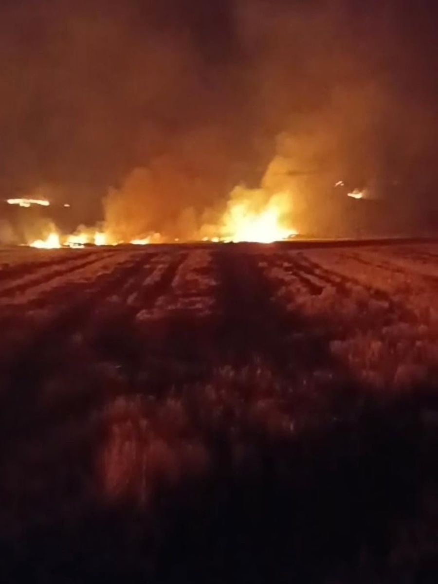 Yozgat’ta bin 500 dönüm arazi yandı