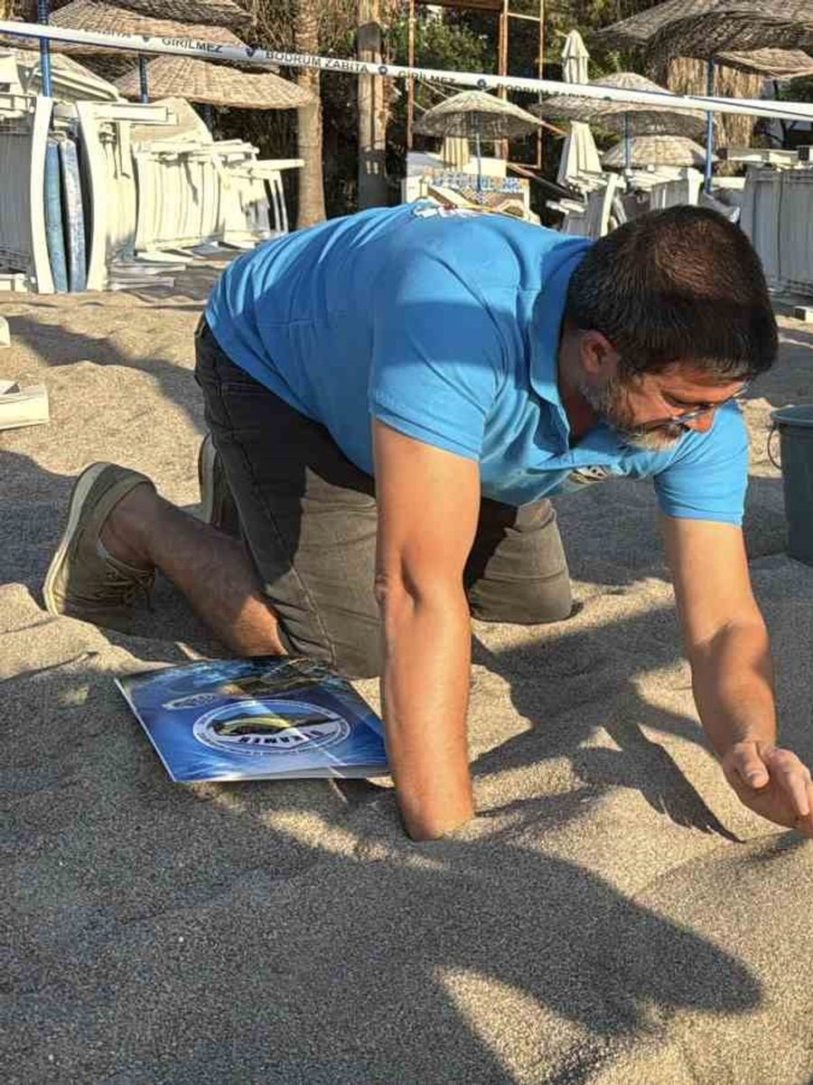 Kumsalda başlayan umut yolculuğu denizde tamamlandı: "62 caretta caretta yavrusu mavi sulara ulaştı"