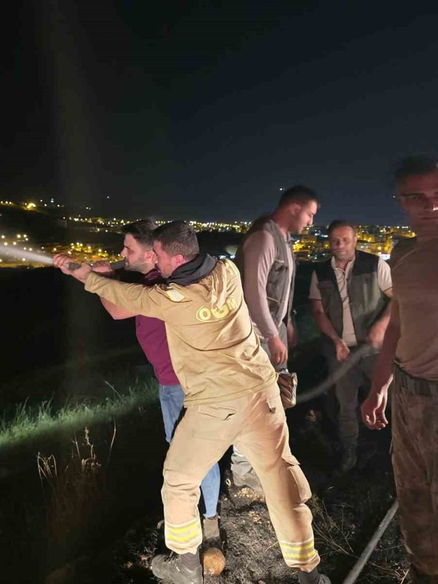 İdil’de alevlerle saatlerce mücadele: Yangın köy evlerine ulaşmadan söndürüldü