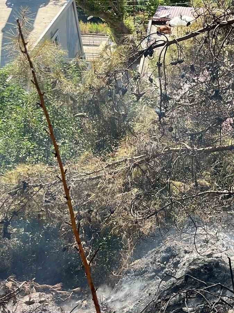 Alanya’da çalılık alanda çıkan yangın söndürüldü