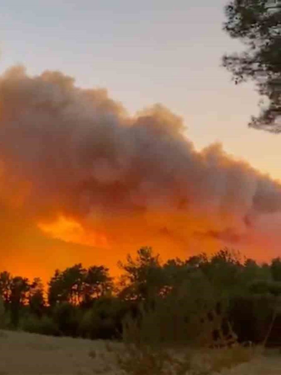 Antalya Aksu’da orman yangını