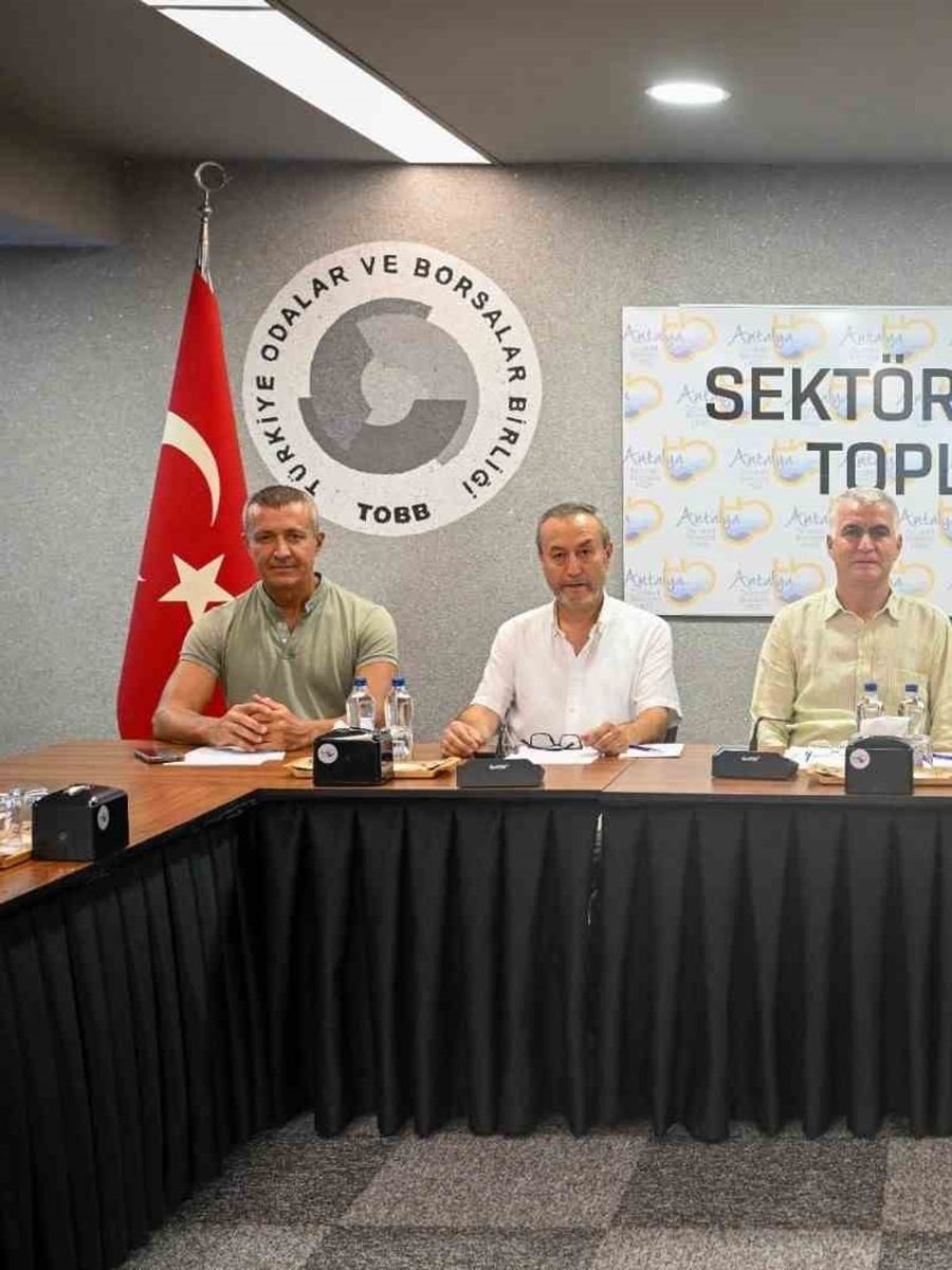Zeytinde rekolte beklentisi yüzde 40 arttı
