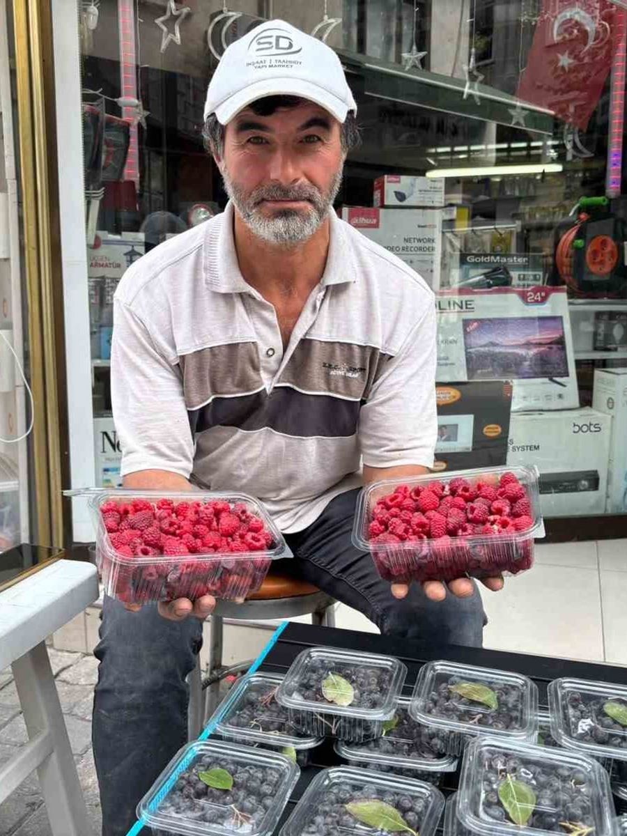 Kıraç arazileri aronya ve ahududugil yetiştirerek değerlendirdi