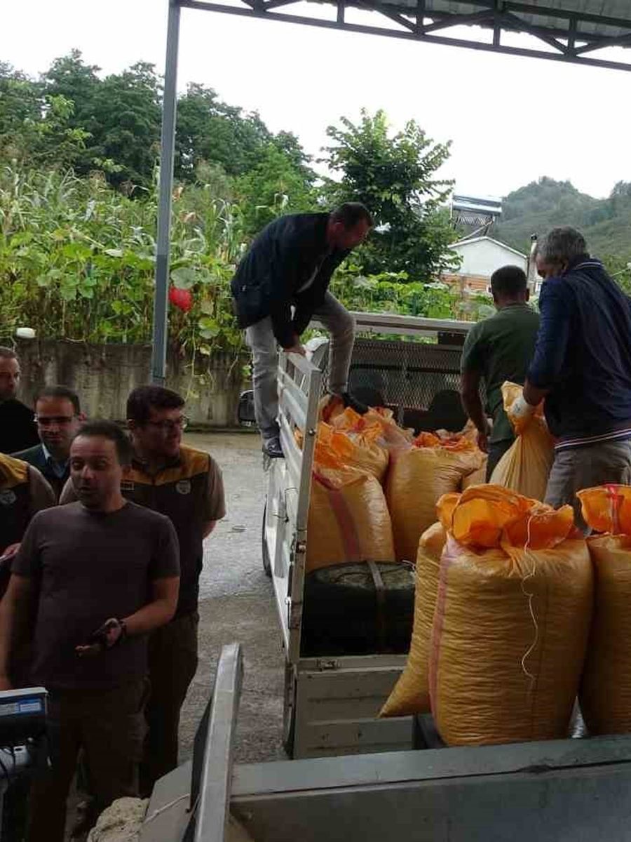 Fındıkta randıman alım fiyatını yükseltiyor
