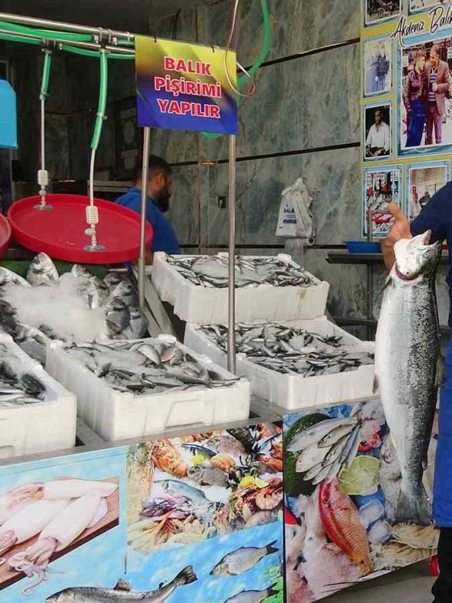Kilis’te balık sezonu açıldı, tezgahlar çeşitlendi