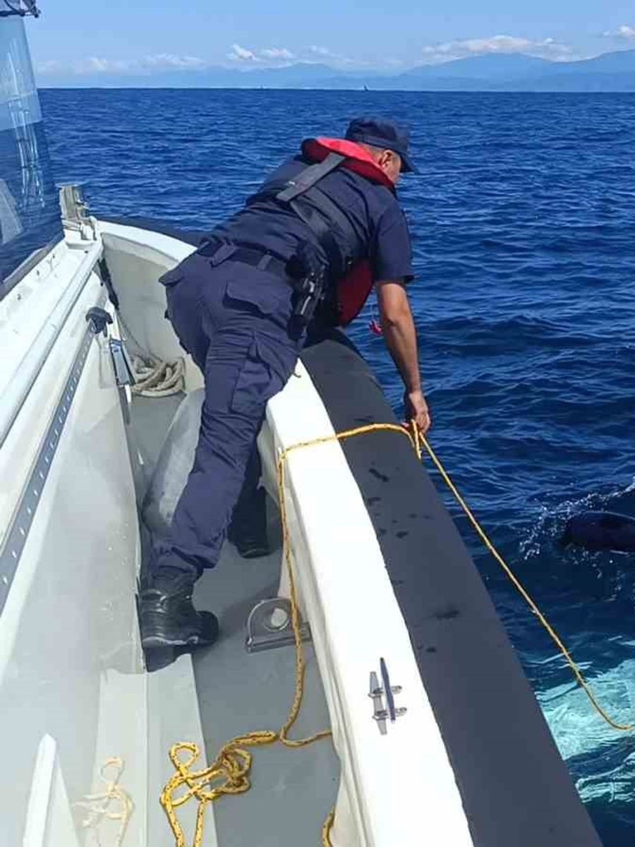 Ulaştırma ve Altyapı Bakanlığı’ndan denize acil iniş yapan özel uçağa ilişkin açıklama