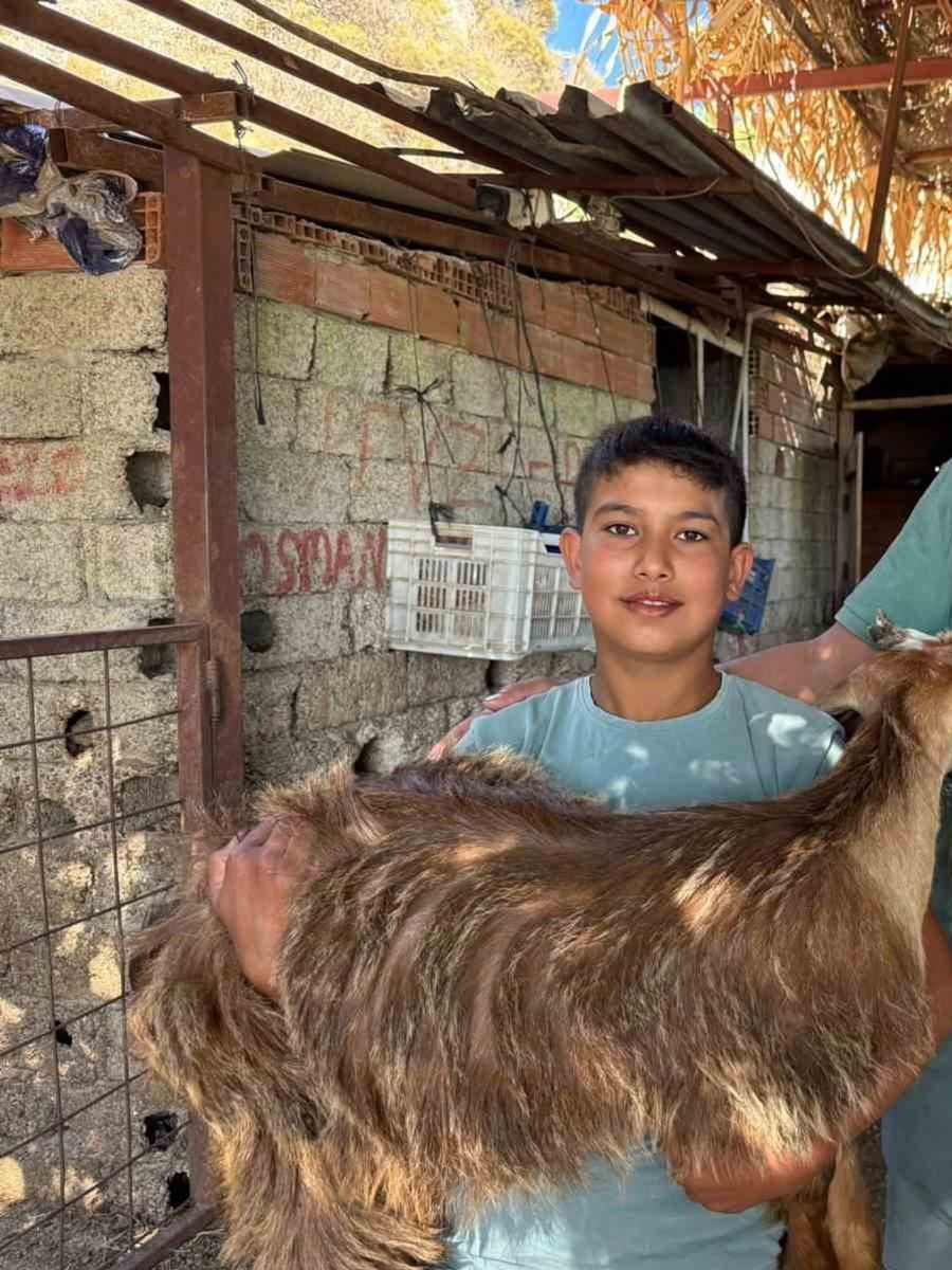 Kendisi küçük yüreği büyük; Besleyip büyüttüğü oğlağını yangın yerinden sırtında taşıyarak götürdü