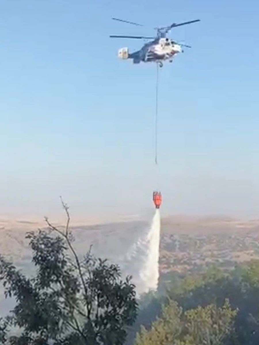 Eskişehir’de meşelik alanda çıkan yangın kontrol altına alındı