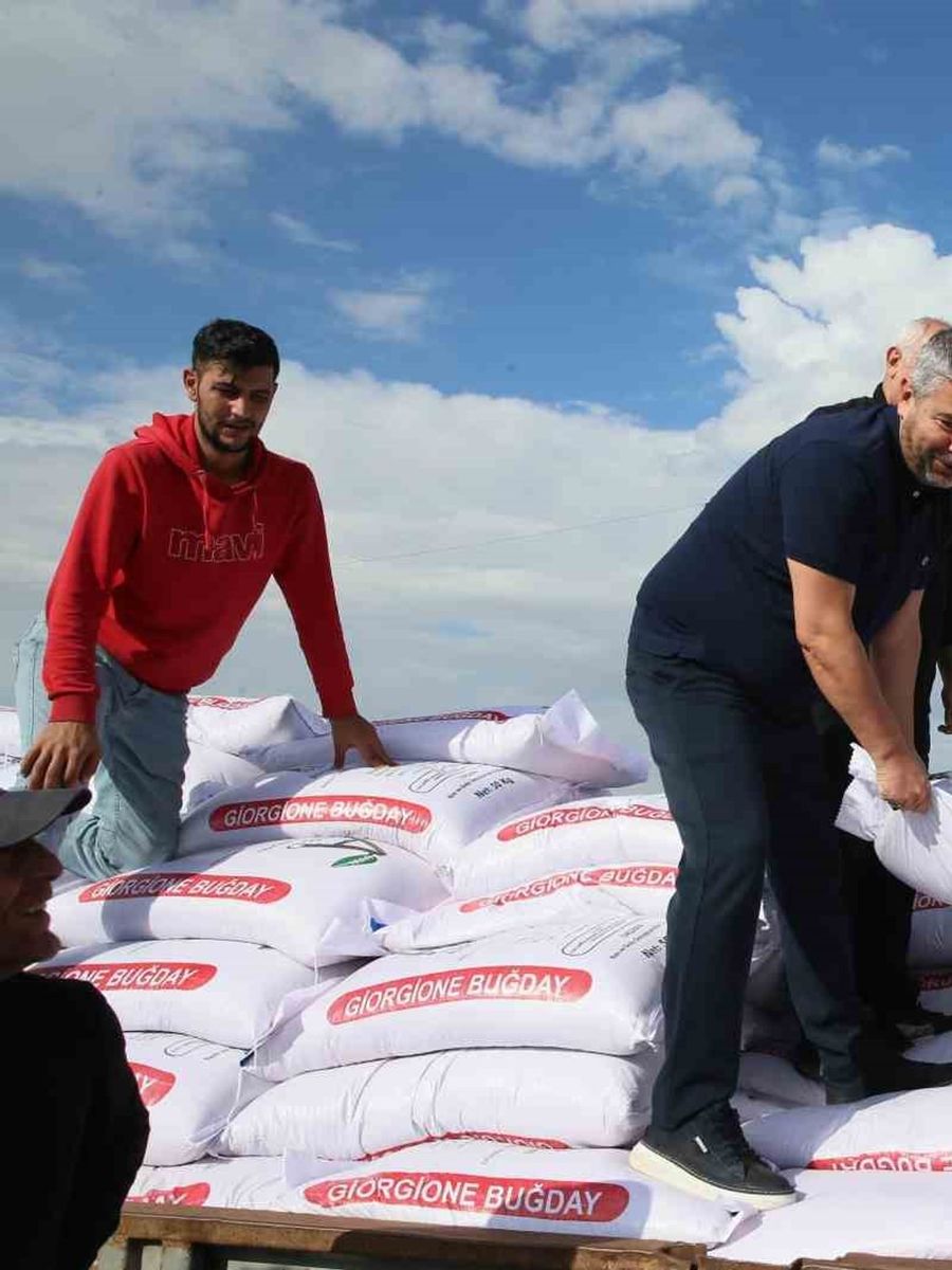 Sincan Belediyesi’nden çiftçilere buğday tohumu desteği