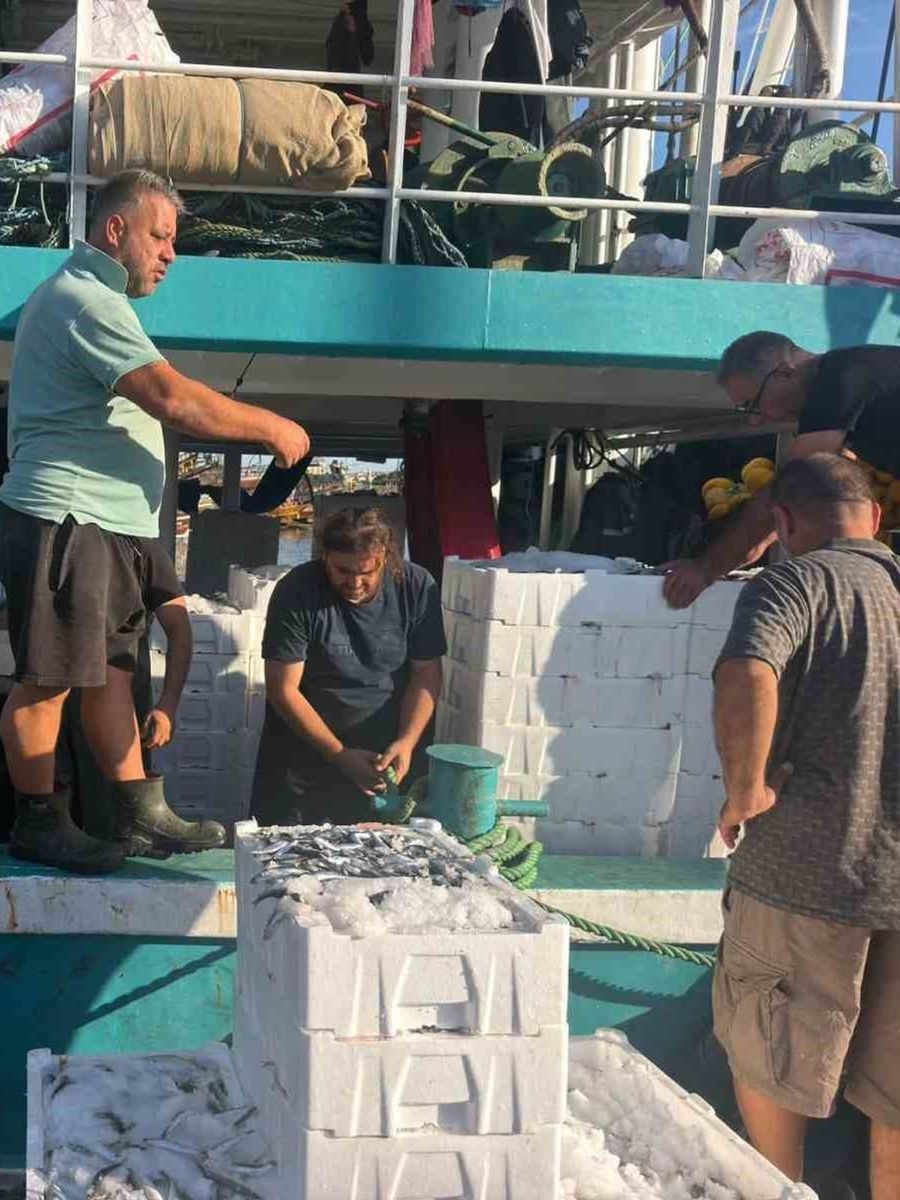 Hamsi avında kota dönemi başladı, denetimler sürüyor